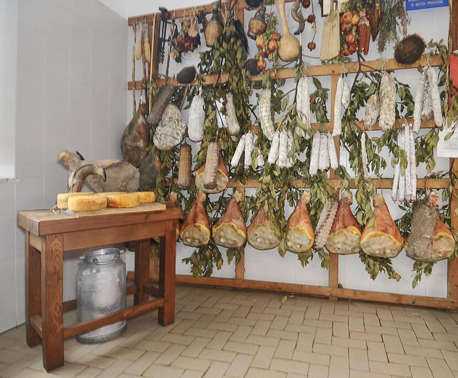Fattoria Agriturismo Bigongiari Lucca Bagian luar foto